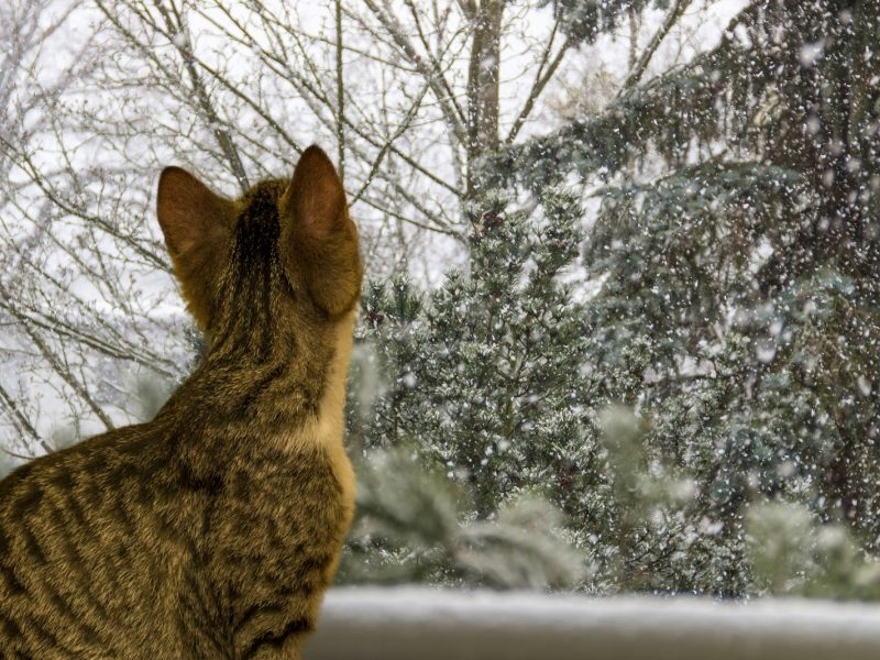 Conservatory Christmas? How to Keep Your Conservatory Warm in Winter